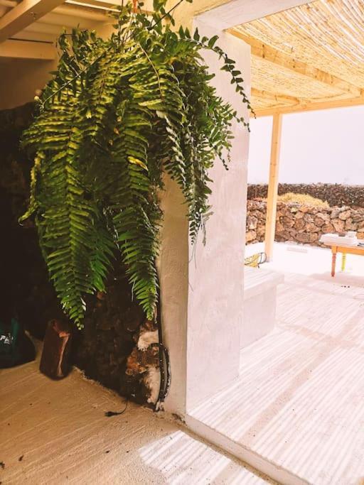 אורסולה Estudio Con Bano Privado מראה חיצוני תמונה